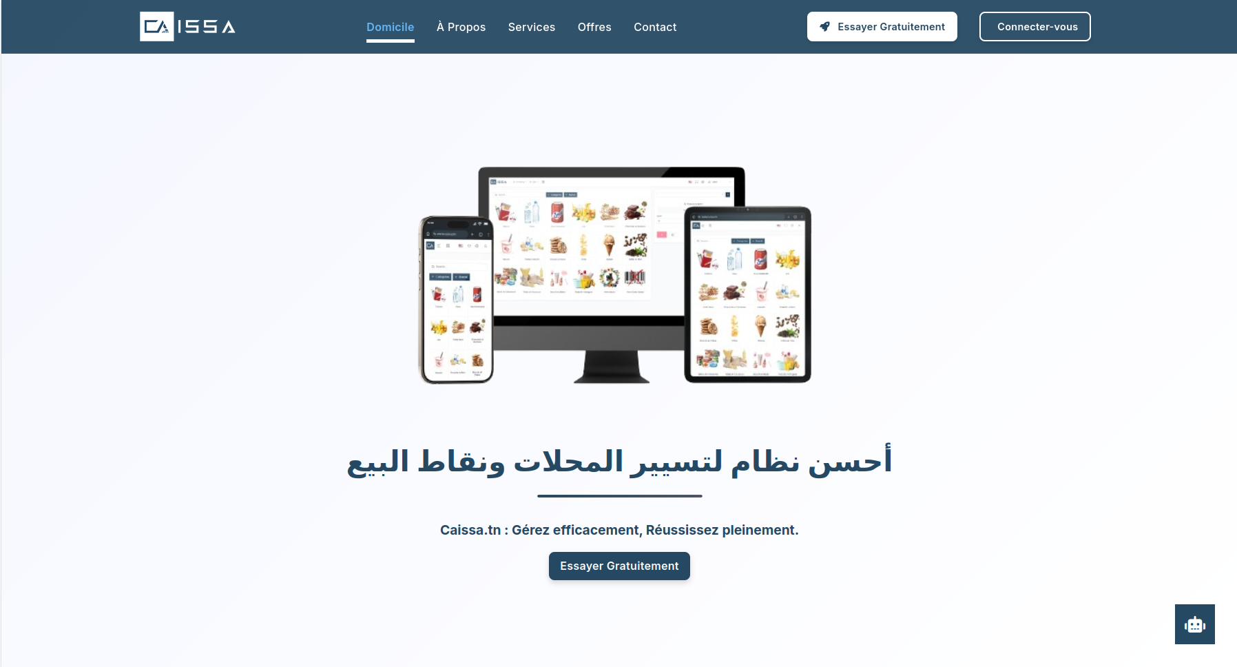 Caissa POS System
